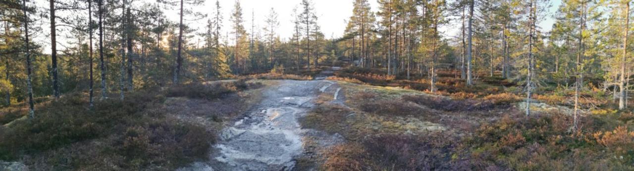 Hyttingsfabodstugor Borlänge Exterior foto