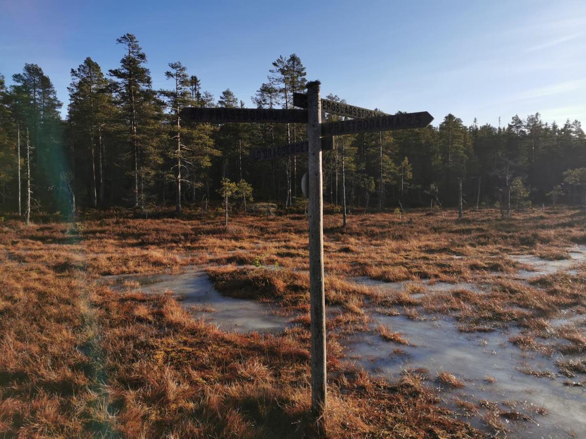 Hyttingsfabodstugor Borlänge Exterior foto